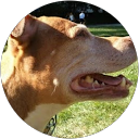 SEF Medic profile picture