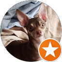 Marsha Sailer-Rubio profile picture